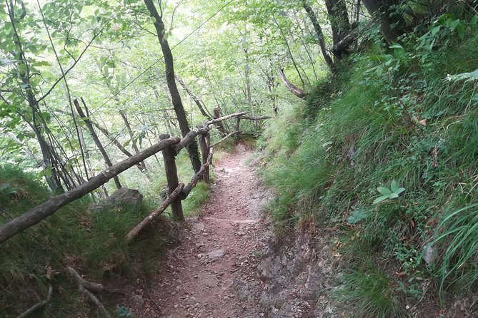 1 Day Trekking - Il Sentiero del Viandante: BELLANO. VARENNA - Timing, weather, and cancellation details