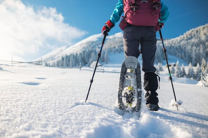 3 Hours of Snowshoeing with Alpine Guide in Val Brembana - Getting started with the snowshoe briefing