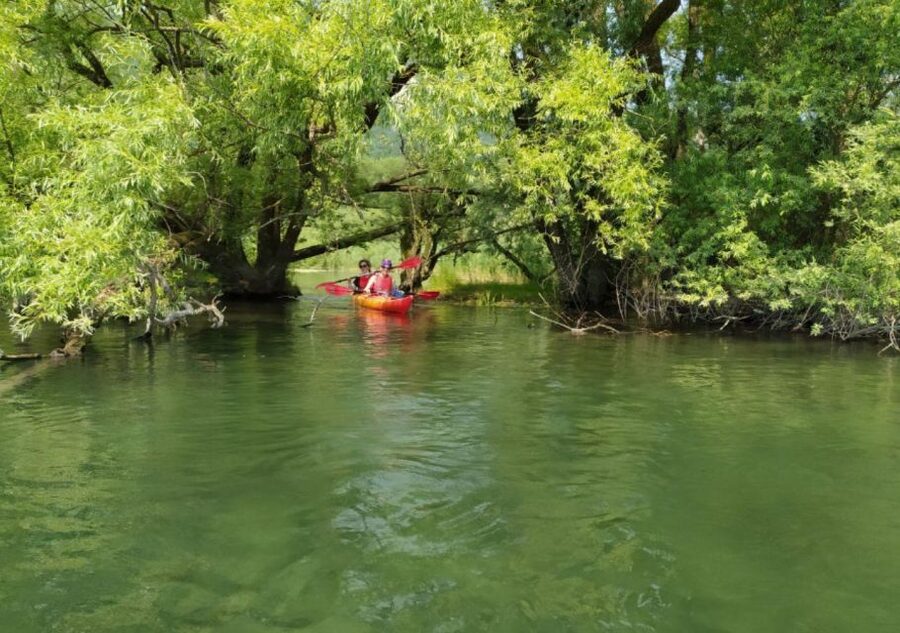 Adda River: Half day Kayak Trip - Why the Adda River makes a good kayak outing