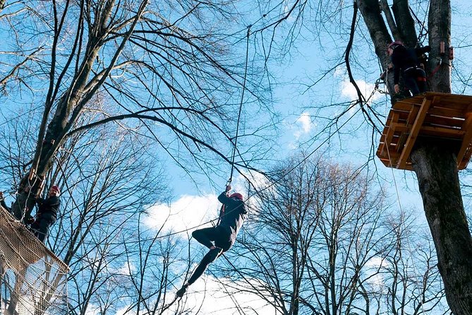 Adult Daily ticket for Adventure Park in Gravedona - Taking on the higher and harder courses