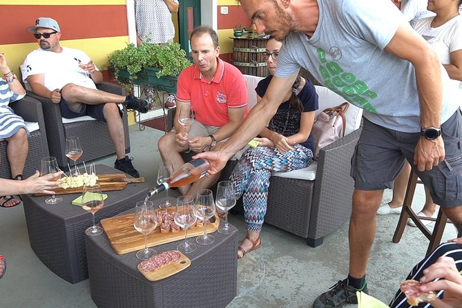 Art Experience with Food and Wine Tasting in Lazise - Practical details that affect your plans