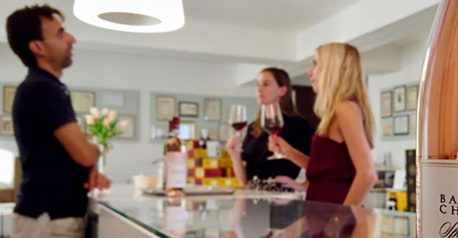 Bardolino: tasting of 6 White and Rosè wines with Lake view - Starting at a family winery in Bardolino