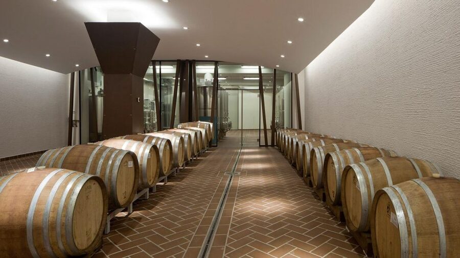 Bardolino: tasting of 6 White and Rosè wines with Lake view - Comparing three kinds of Chiaretto