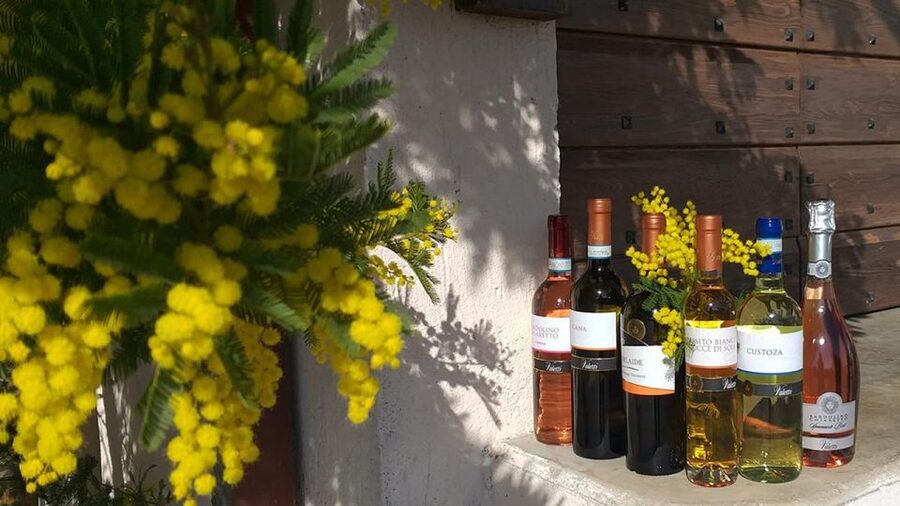 Bardolino: tasting of 6 White and Rosè wines with Lake view - Four white wines and different Verona soils
