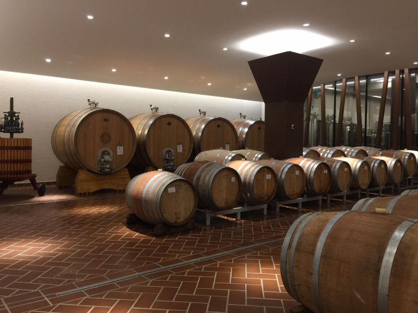 Bardolino: tasting of 6 White and Rosè wines with Lake view - Who will enjoy this Bardolino tasting