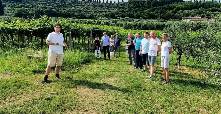 Bardolino: Vineyard Tour with Wine, Olive Oil & Food Tasting - Why this Bardolino visit feels personal