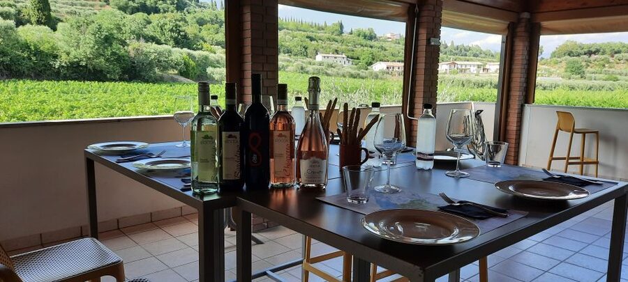 Bardolino: Vineyard Tour with Wine, Olive Oil & Food Tasting - Understanding Bardolino DOC and the winery’s wines