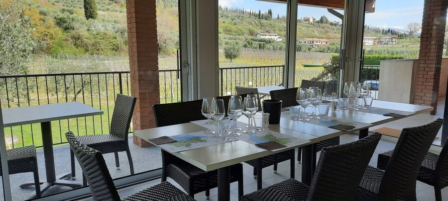 Bardolino: Vineyard Tour with Wine, Olive Oil & Food Tasting - How much value do you get for $42?