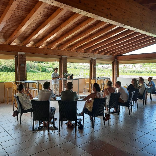 Bardolino: Vineyard Tour with Wine, Olive Oil & Food Tasting - Walking the vineyard on the Rocca del Garda