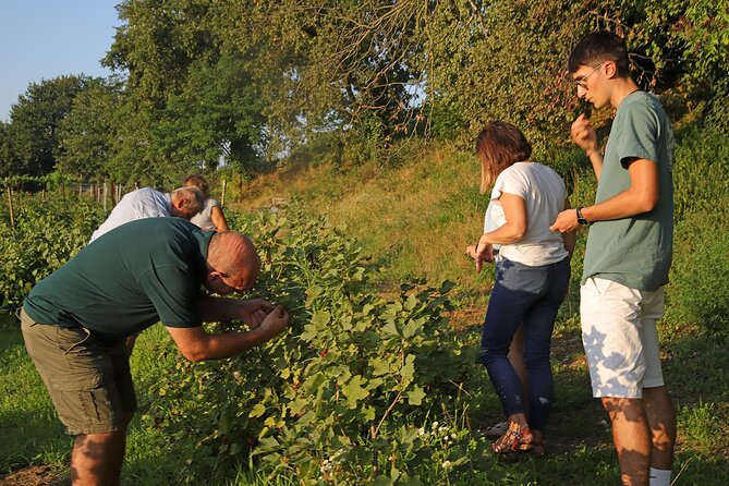 Beekeeping Farm Tour and Tasting Experience in Lazise - Is $46.85 a fair price?