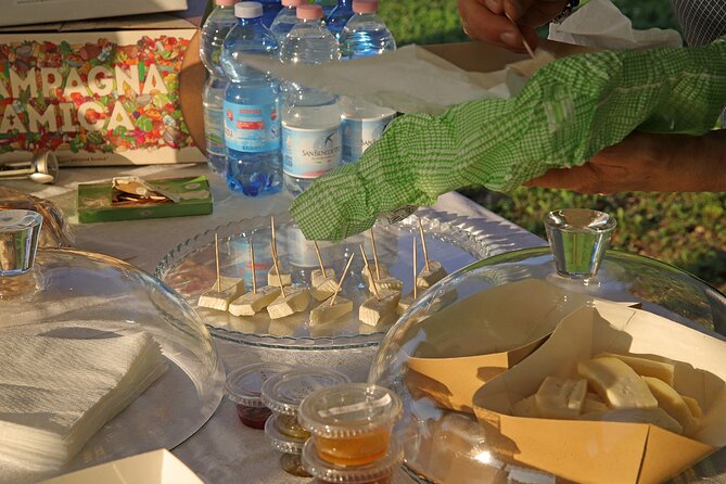 Beekeeping Farm Tour and Tasting Experience in Lazise - Walking among the crops and hives