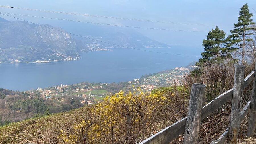 Bellagio: Exclusive picnic at the agrofarm with scenic view - Key points to know before booking