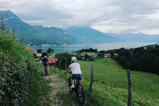 Bellagio Local Food Tasting E-Bike Tour - Guello: berries, cake, and a taste of farm life