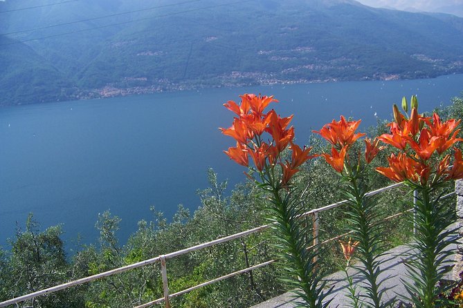 Bellagio, the pearl of lake Como. The village and the surrounding area - Lunch and Bellagio’s historic center