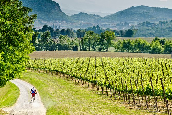 Bergamo and Franciacorta with lunch and cellar visit - Key points to know before booking