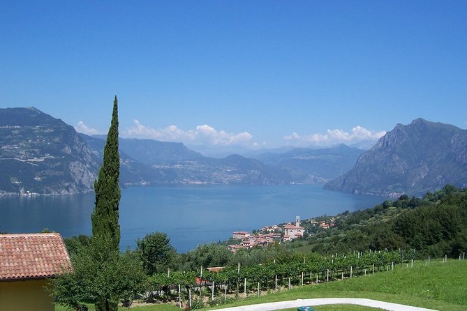 Bergamo and Franciacorta with lunch and cellar visit - Franciacorta and the two-wine cellar visit