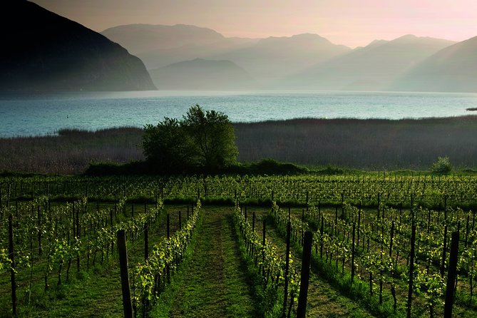 Bergamo and Franciacorta with lunch and cellar visit - Is $348.46 a fair price?