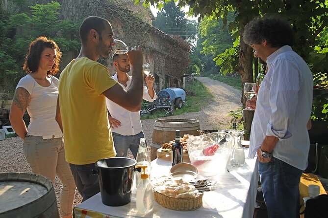 Biodynamic Farm and Natural Wines Tasting in Lazise - A working farm outside Lazise