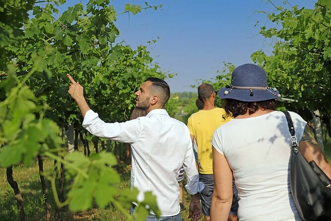 Biodynamic Farm and Natural Wines Tasting in Lazise - What biodynamic farming means here