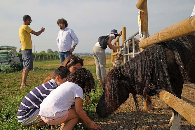 Biodynamic Farm and Natural Wines Tasting in Lazise - The terrace tasting: Chiaretto and Bardolino