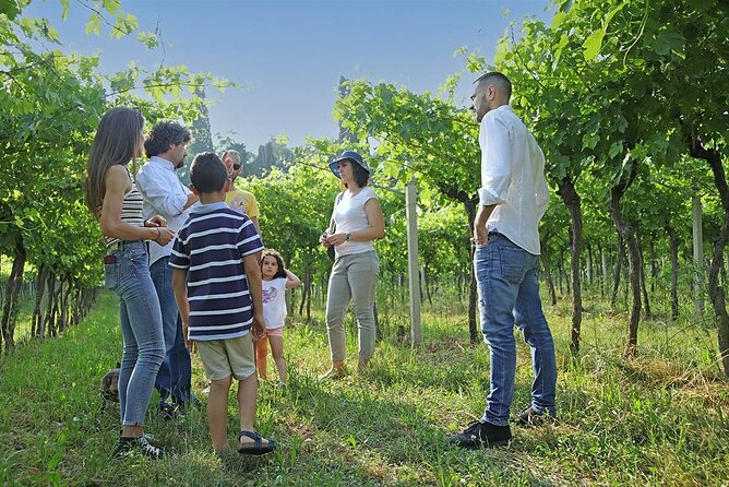Biodynamic Farm and Natural Wines Tasting in Lazise - Cold cuts, cheeses, and bread from Verona