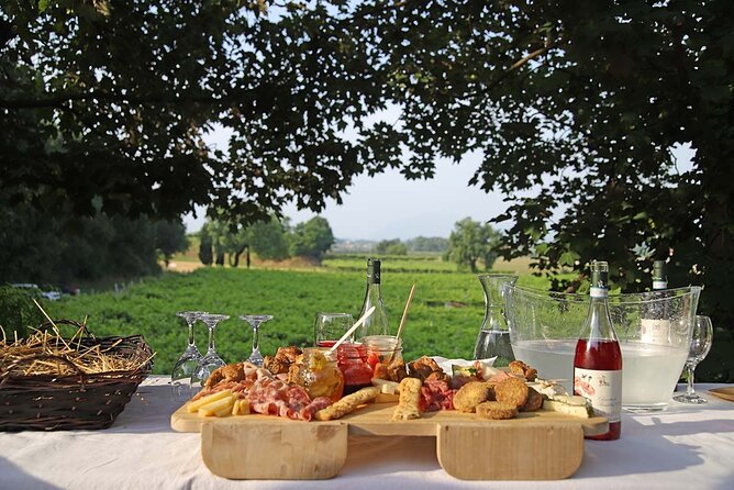 Biodynamic Farm and Natural Wines Tasting in Lazise - Why the small group matters