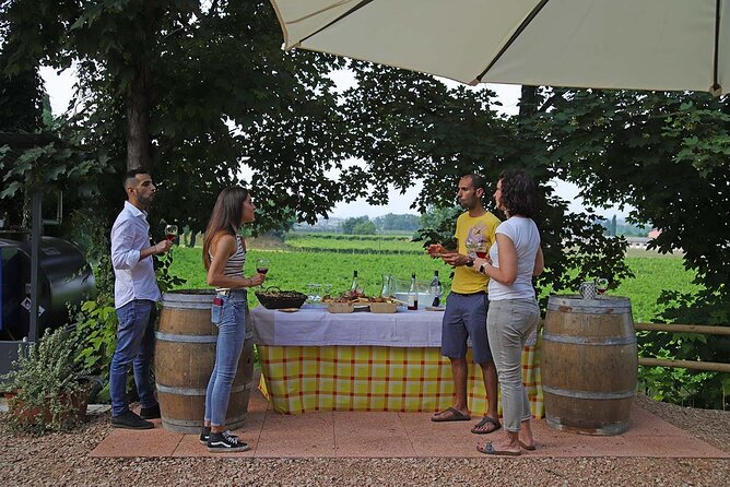 Biodynamic Farm and Natural Wines Tasting in Lazise - Who will get the most from this visit