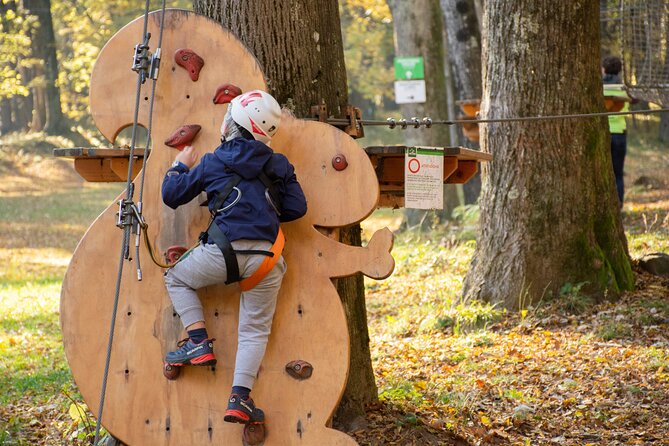 Children Daily Ticket for Adventure Park in Gravedona - Who will get the most from this outing