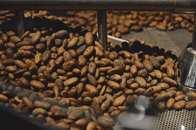 Chocolate Experience at La Fabbrica del Cioccolato in Milan - The tasting: three to five grand cru chocolates