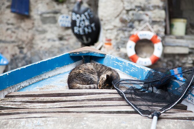 Cinque Terre Day Trip from Milan: Italian Riviera Escape - Manarola by train or boat