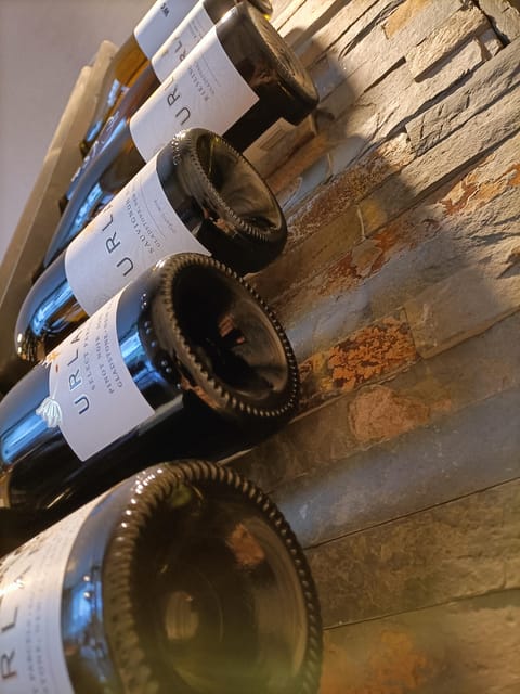 Como: Wine Tasting Experience with Cheese and Cold Cuts - My call: book it for the guidance, not just the wine