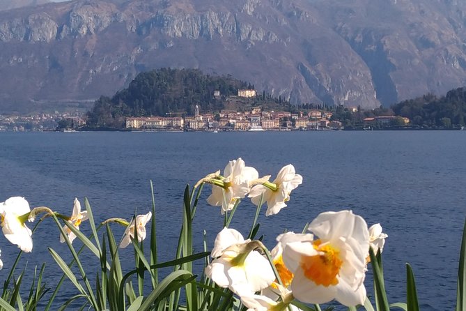 Day tour from Milan: Lake Como & Bellagio Cruise- Semi private - Is $336.07 a fair price?
