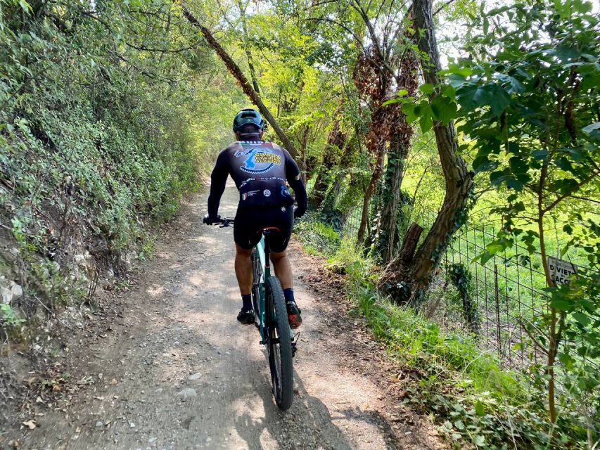 Desenzano: e-Bike Tour with Wine Tasting - Key points at a glance