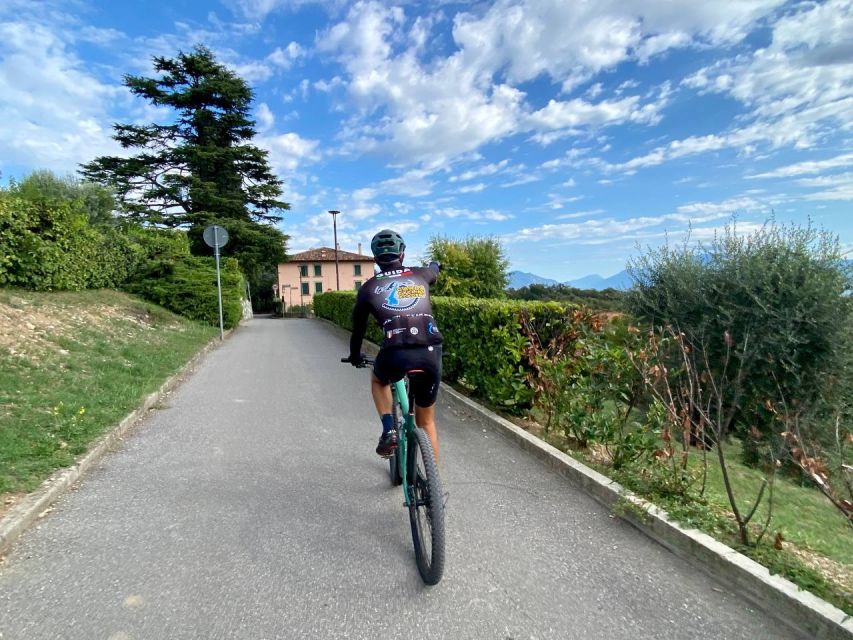 Desenzano: e-Bike Tour with Wine Tasting - Country roads, vineyards, and olive trees