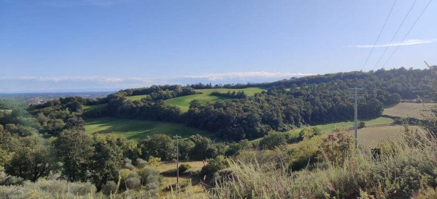 Desenzano: e-Bike Tour with Wine Tasting - Is $99 a fair price?
