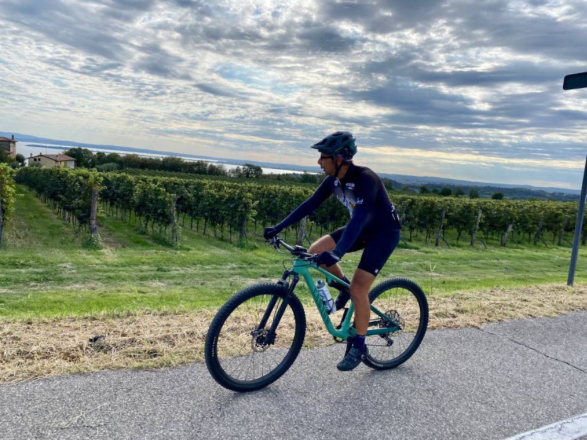 Desenzano: e-Bike Tour with Wine Tasting - Who will enjoy this ride most