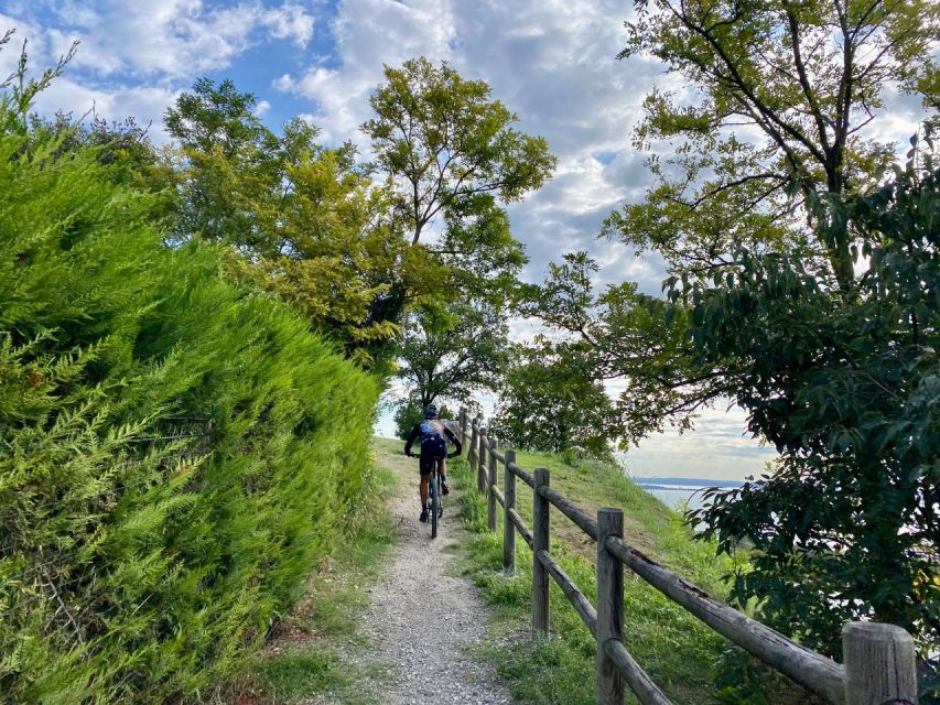 Desenzano: e-Bike Tour with Wine Tasting - Practical details before you book