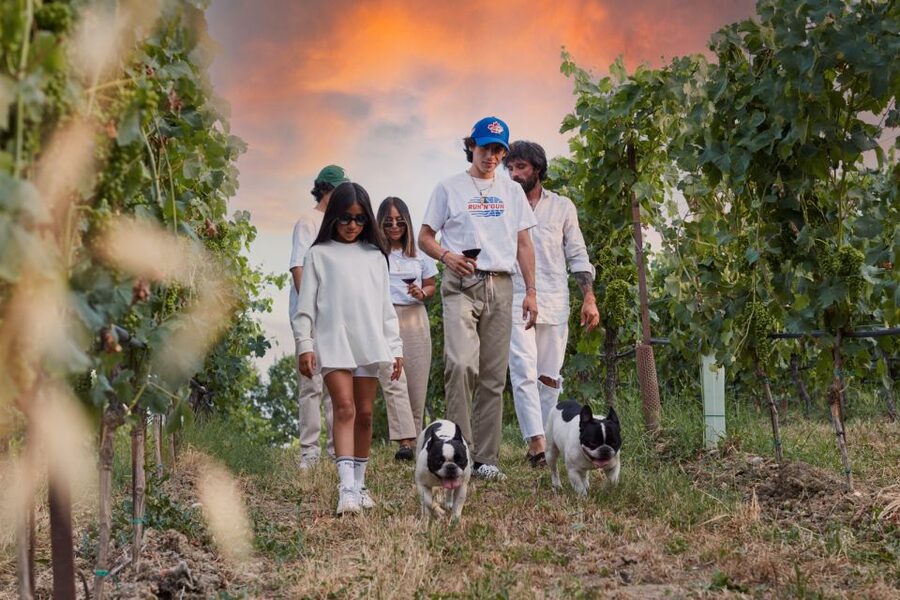 Desenzano: Lugana Wine-Tasting and Vineyard Tour - Why Lugana is worth understanding near Lake Garda