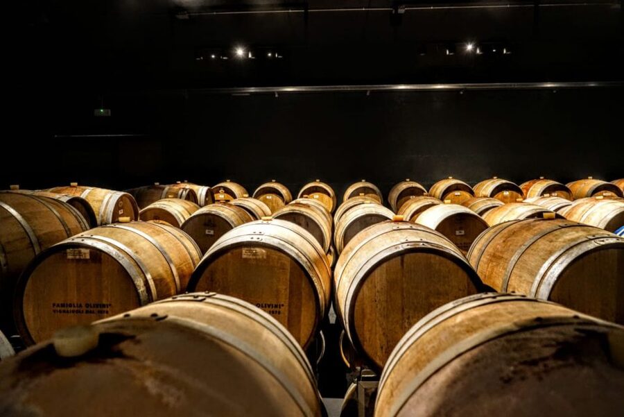 Desenzano: Lugana Wine-Tasting and Vineyard Tour - Is the $59 price good value?