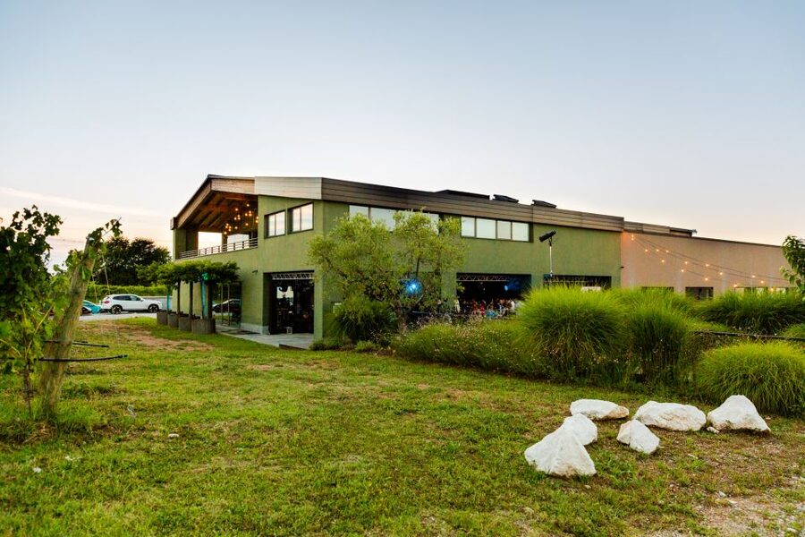 Desenzano: Lugana Wine-Tasting and Vineyard Tour - Who will enjoy this winery visit most?