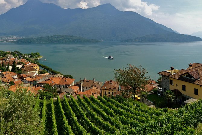 Domaso: Wine Tasting at the Winery on Como Lake - Three wines, three different food matches