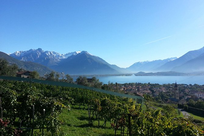 Domaso: Wine Tasting at the Winery on Como Lake - Arriving at Azienda Agricola Sorsasso