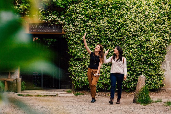 Drinks & Bites in Milan Private Tour - What $168.65 per person really buys