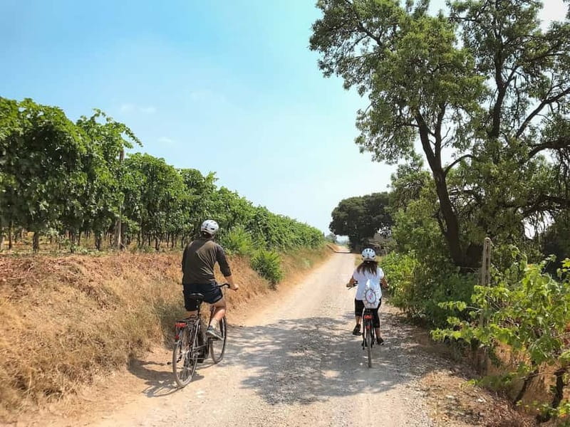 E-bike adventure among villages and medieval castles - Following the Tione River through farm country