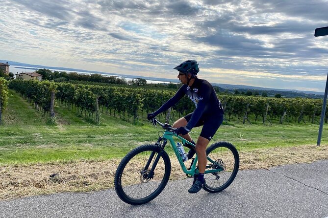 E-Bike tour and Wine tasting from Desenzano Inland - Starting at Famiglia Olivini near Desenzano