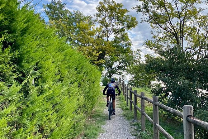 E-Bike tour and Wine tasting from Desenzano Inland - Timing, weather, and a small coordination warning