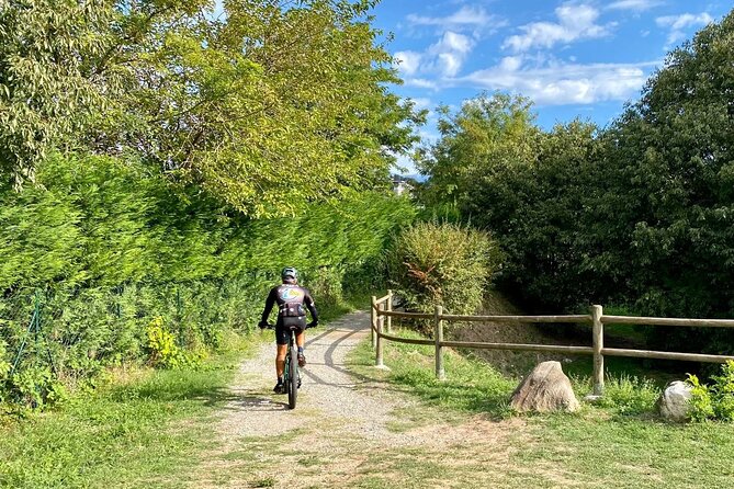 E-Bike tour and Wine tasting from Desenzano Inland - Seeing Sirmione from its inland side