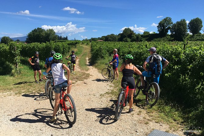 E-Bike Tour and Wine Tasting in Lazise - Is $97.53 a fair price?