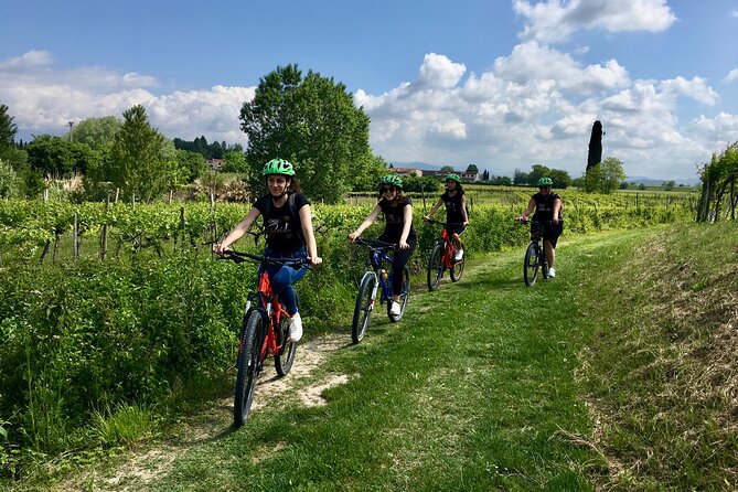 E-Bike Tour and wine tasting in Lazise Countryside - Key points to know before you book