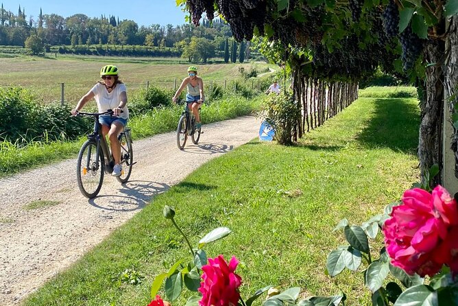 E-Bike Tour and wine tasting in Lazise Countryside - Leaving Lazise for the olive groves